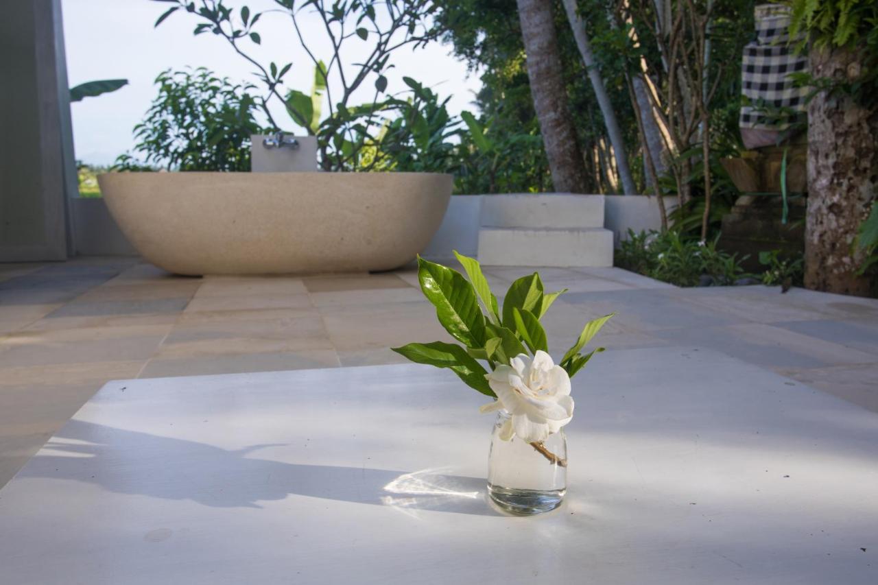 Villa Luxe Design Ubud