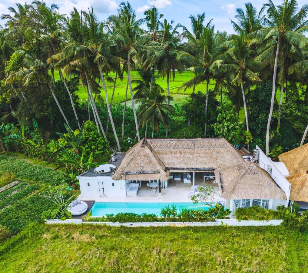 Luxe Design Ubud