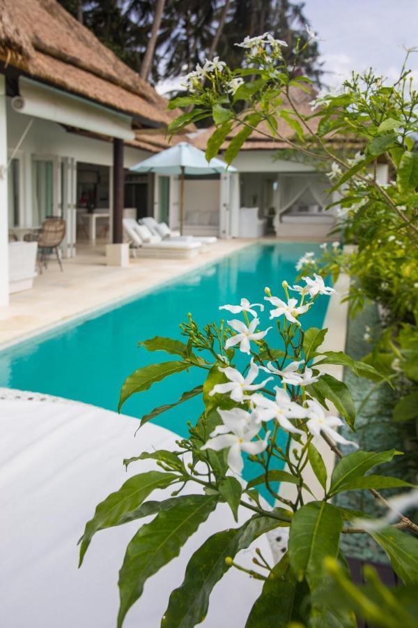 Villa Luxe Design Ubud